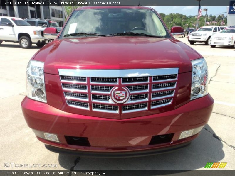 Infrared Tincoat / Cashmere/Cocoa 2011 Cadillac Escalade Luxury