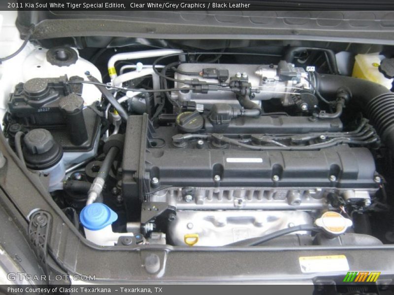 Clear White/Grey Graphics / Black Leather 2011 Kia Soul White Tiger Special Edition