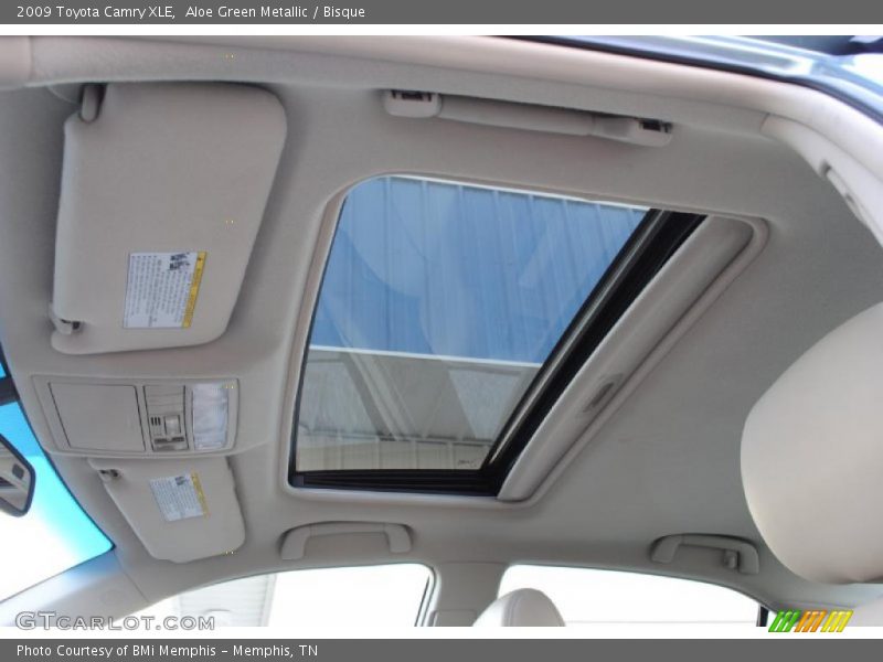 Aloe Green Metallic / Bisque 2009 Toyota Camry XLE