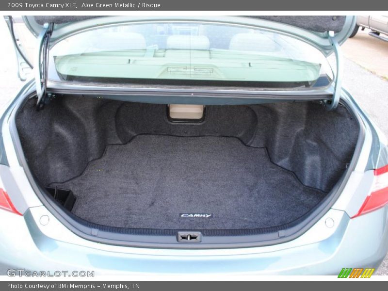 Aloe Green Metallic / Bisque 2009 Toyota Camry XLE