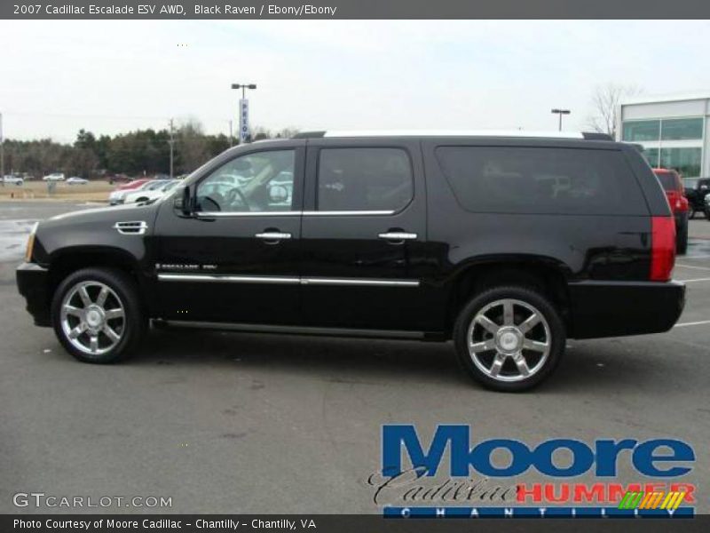 Black Raven / Ebony/Ebony 2007 Cadillac Escalade ESV AWD