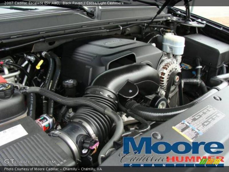 Black Raven / Cocoa/Light Cashmere 2007 Cadillac Escalade ESV AWD