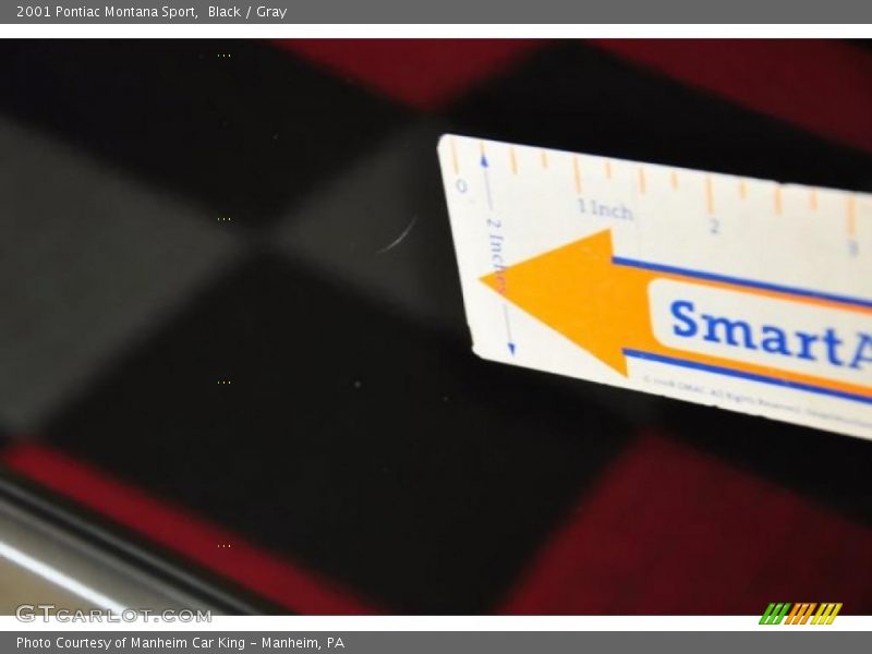 Black / Gray 2001 Pontiac Montana Sport