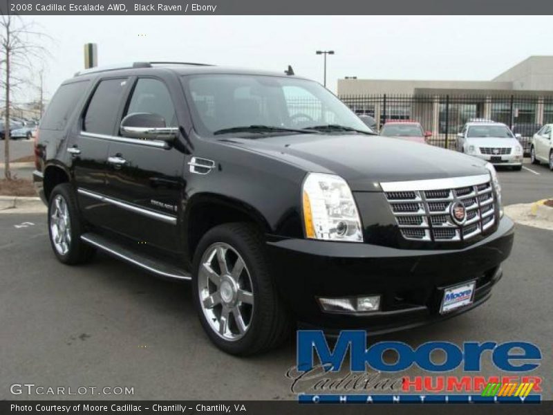 Black Raven / Ebony 2008 Cadillac Escalade AWD