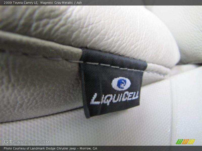 Magnetic Gray Metallic / Ash 2009 Toyota Camry LE