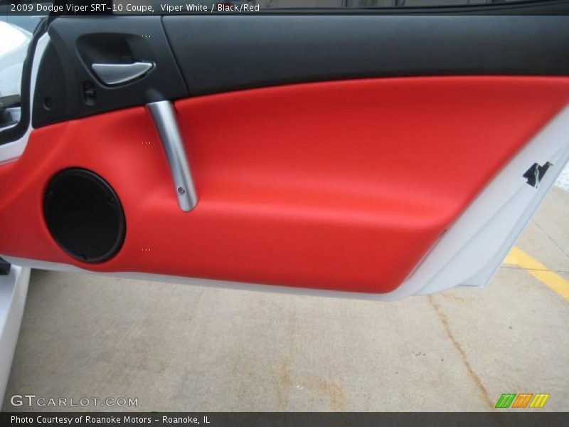 Door Panel of 2009 Viper SRT-10 Coupe