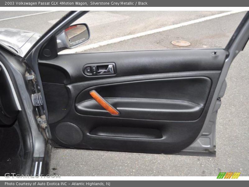 Door Panel of 2003 Passat GLX 4Motion Wagon
