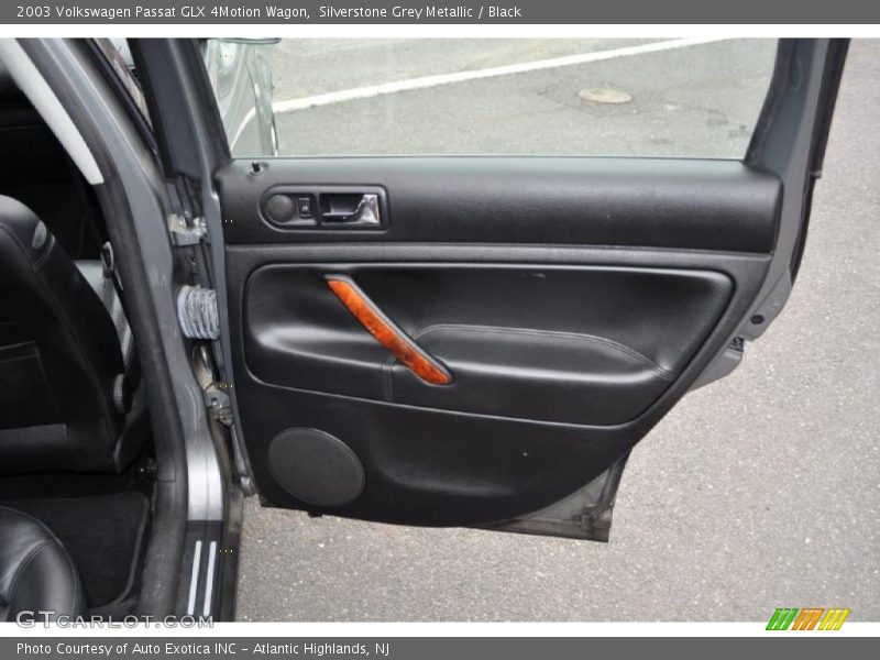 Door Panel of 2003 Passat GLX 4Motion Wagon