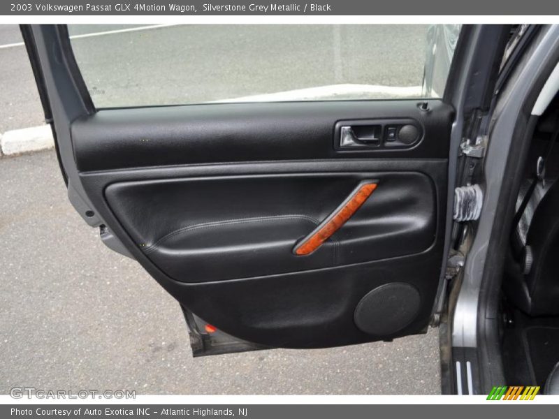 Door Panel of 2003 Passat GLX 4Motion Wagon