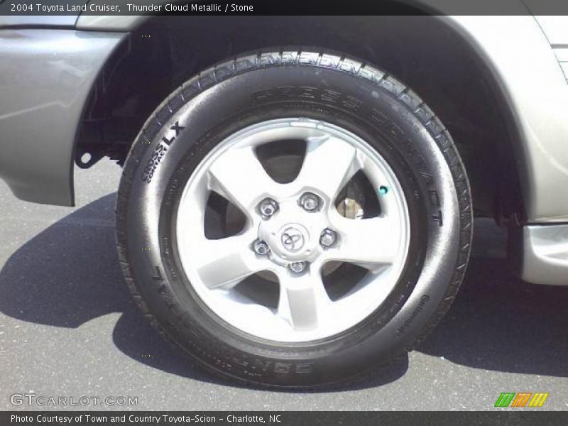 Thunder Cloud Metallic / Stone 2004 Toyota Land Cruiser