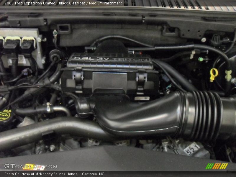 Black Clearcoat / Medium Parchment 2005 Ford Expedition Limited