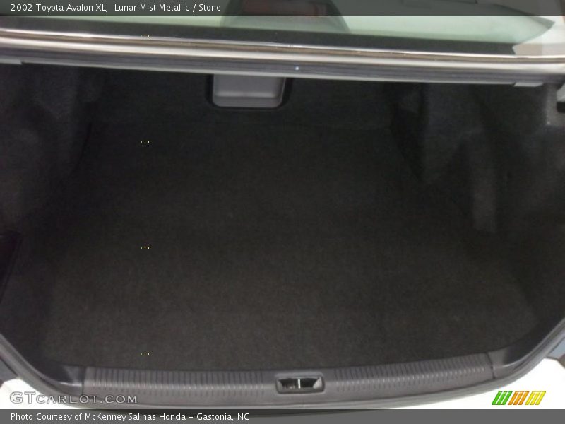 Lunar Mist Metallic / Stone 2002 Toyota Avalon XL