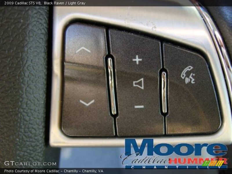 Black Raven / Light Gray 2009 Cadillac STS V8