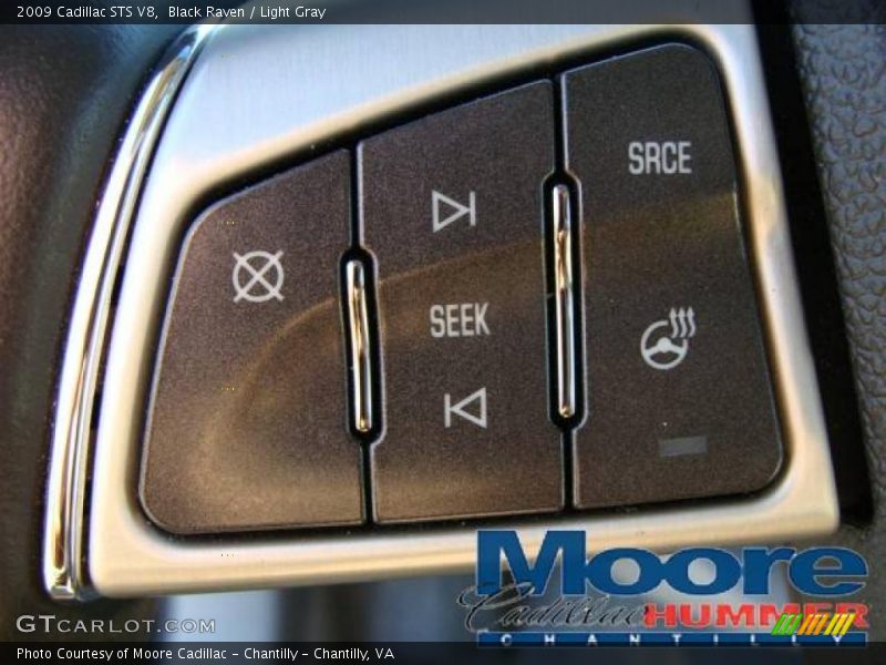 Black Raven / Light Gray 2009 Cadillac STS V8