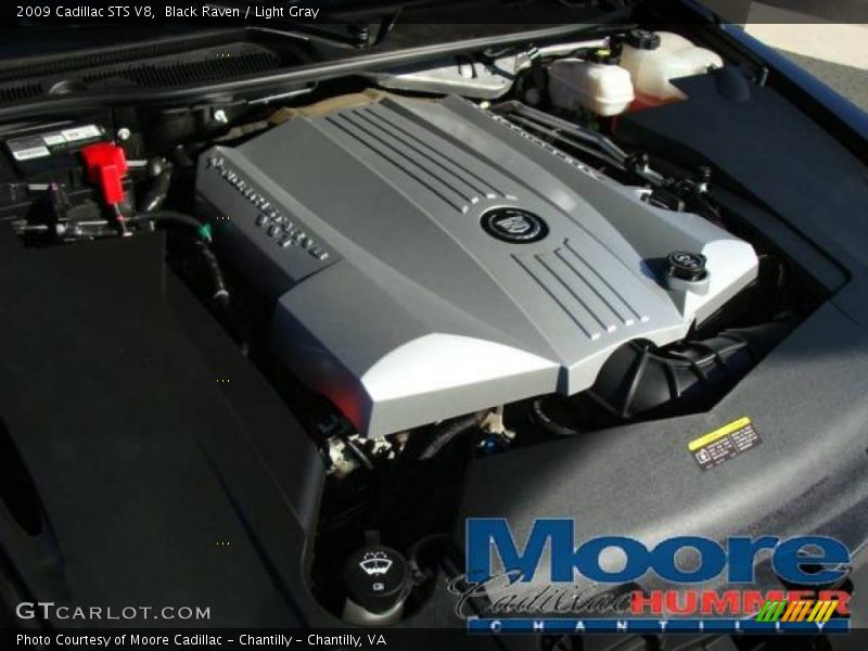 Black Raven / Light Gray 2009 Cadillac STS V8