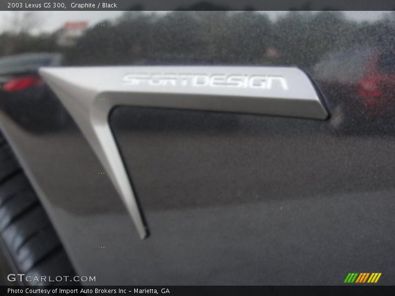 Graphite / Black 2003 Lexus GS 300