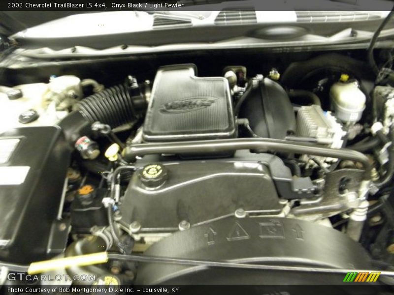 Onyx Black / Light Pewter 2002 Chevrolet TrailBlazer LS 4x4