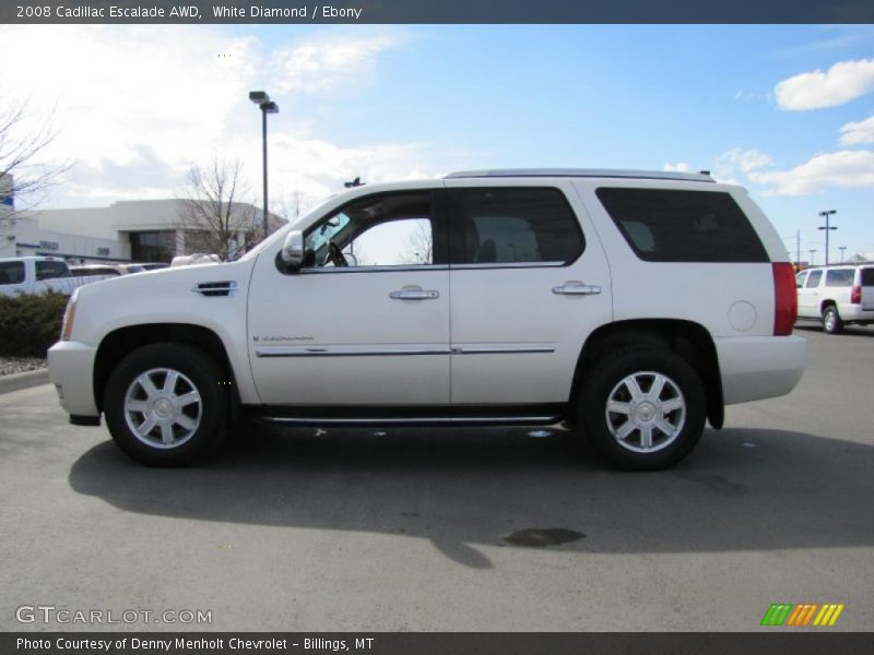 White Diamond / Ebony 2008 Cadillac Escalade AWD