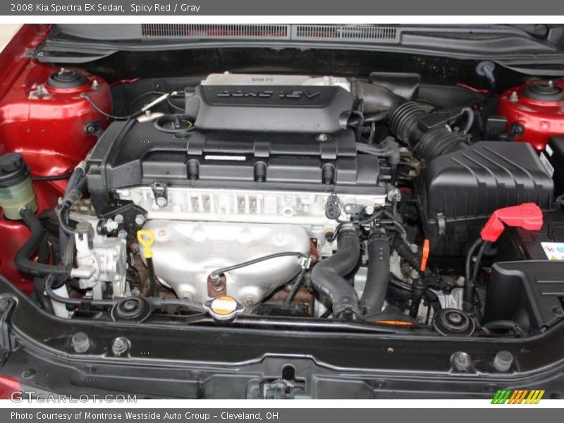 Spicy Red / Gray 2008 Kia Spectra EX Sedan