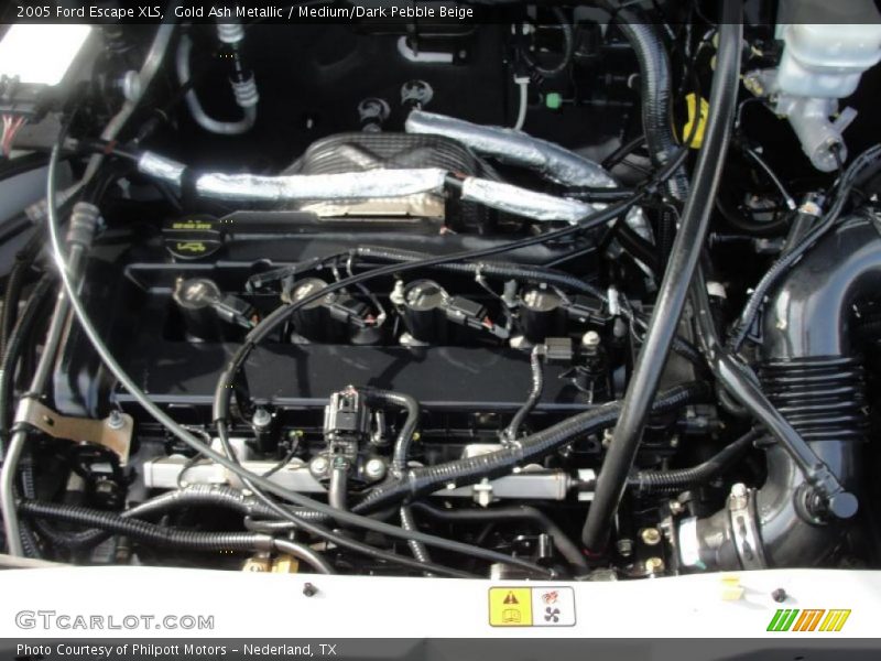 Gold Ash Metallic / Medium/Dark Pebble Beige 2005 Ford Escape XLS