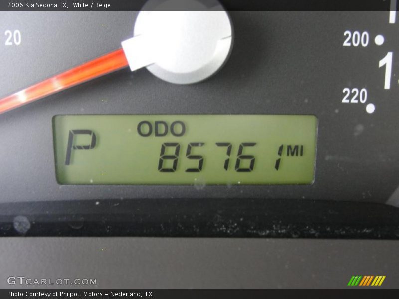 White / Beige 2006 Kia Sedona EX