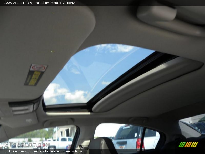 Palladium Metallic / Ebony 2009 Acura TL 3.5