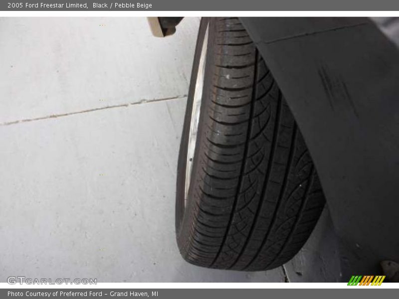 Black / Pebble Beige 2005 Ford Freestar Limited