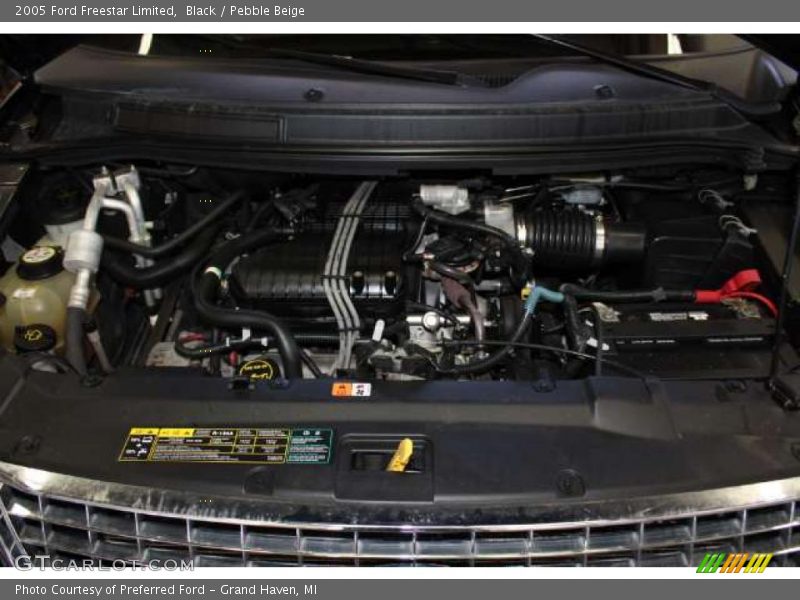 Black / Pebble Beige 2005 Ford Freestar Limited