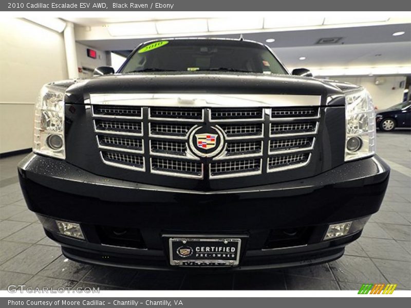 Black Raven / Ebony 2010 Cadillac Escalade ESV AWD