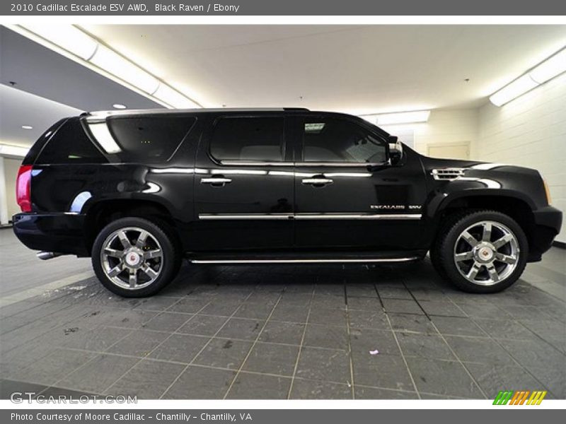 Black Raven / Ebony 2010 Cadillac Escalade ESV AWD