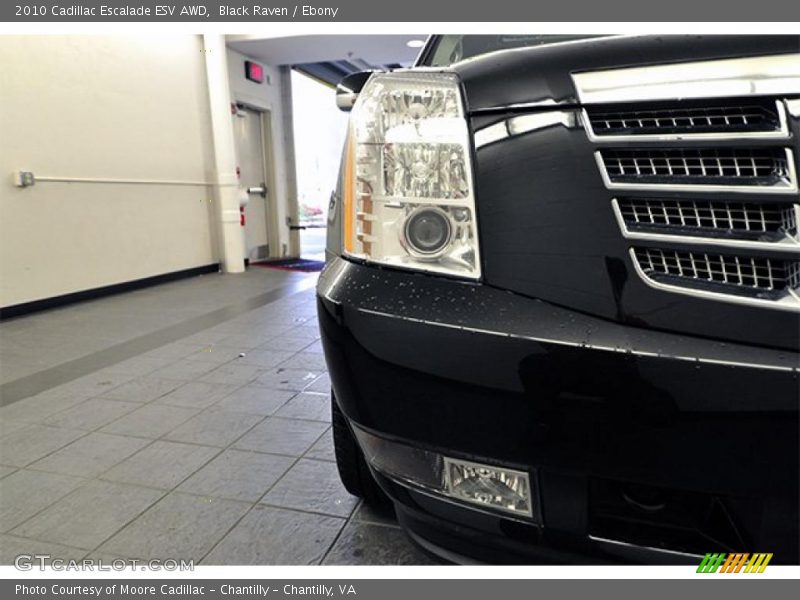 Black Raven / Ebony 2010 Cadillac Escalade ESV AWD
