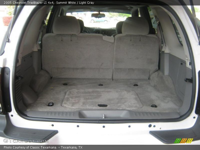 Summit White / Light Gray 2005 Chevrolet TrailBlazer LS 4x4