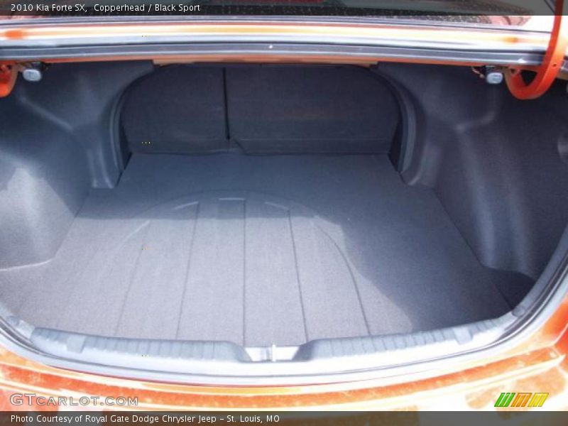 Copperhead / Black Sport 2010 Kia Forte SX