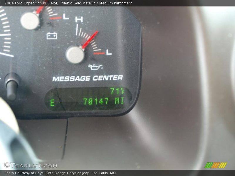 Pueblo Gold Metallic / Medium Parchment 2004 Ford Expedition XLT 4x4