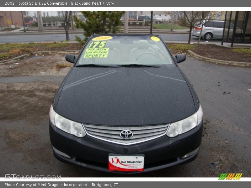 Black Sand Pearl / Ivory 2002 Toyota Solara SE Convertible