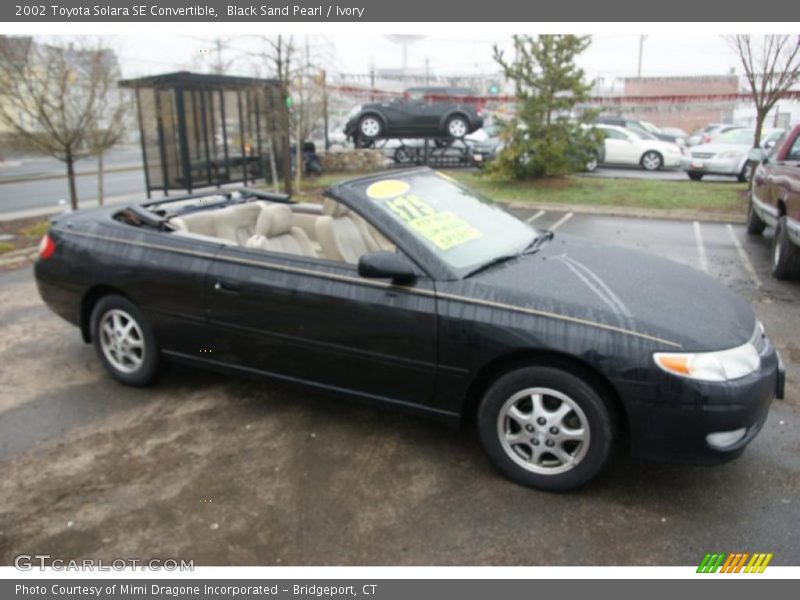 Black Sand Pearl / Ivory 2002 Toyota Solara SE Convertible