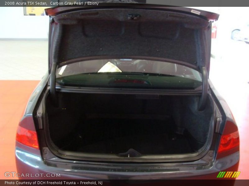 Carbon Gray Pearl / Ebony 2008 Acura TSX Sedan