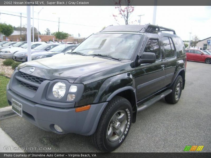 Super Black / Gray Celadon 2002 Nissan Xterra SE V6