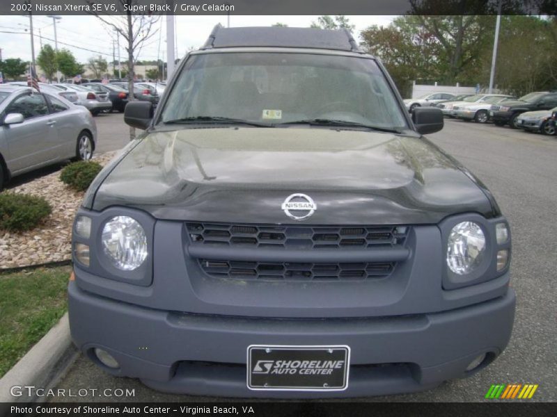 Super Black / Gray Celadon 2002 Nissan Xterra SE V6