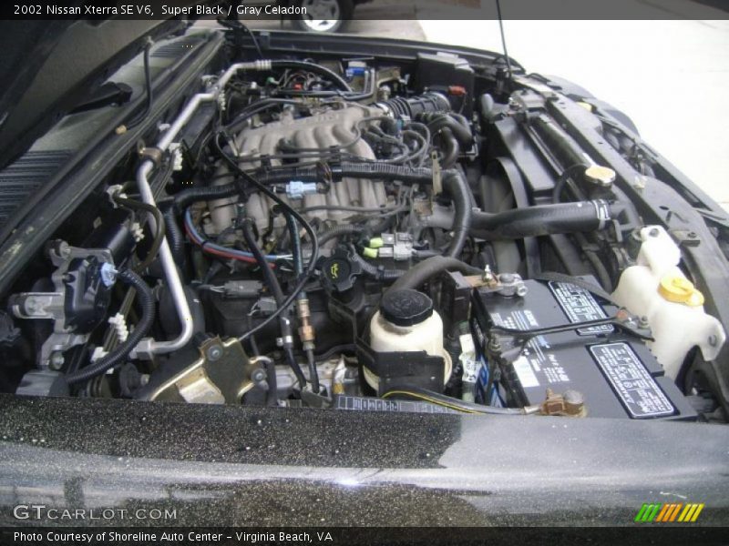 Super Black / Gray Celadon 2002 Nissan Xterra SE V6