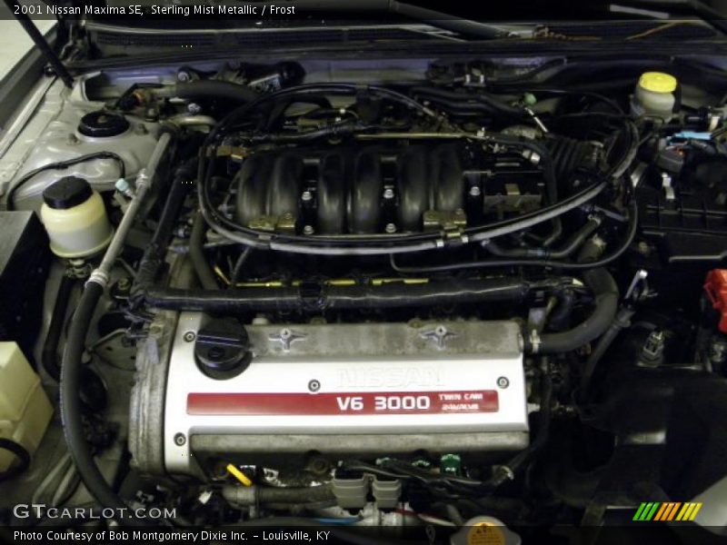 Sterling Mist Metallic / Frost 2001 Nissan Maxima SE