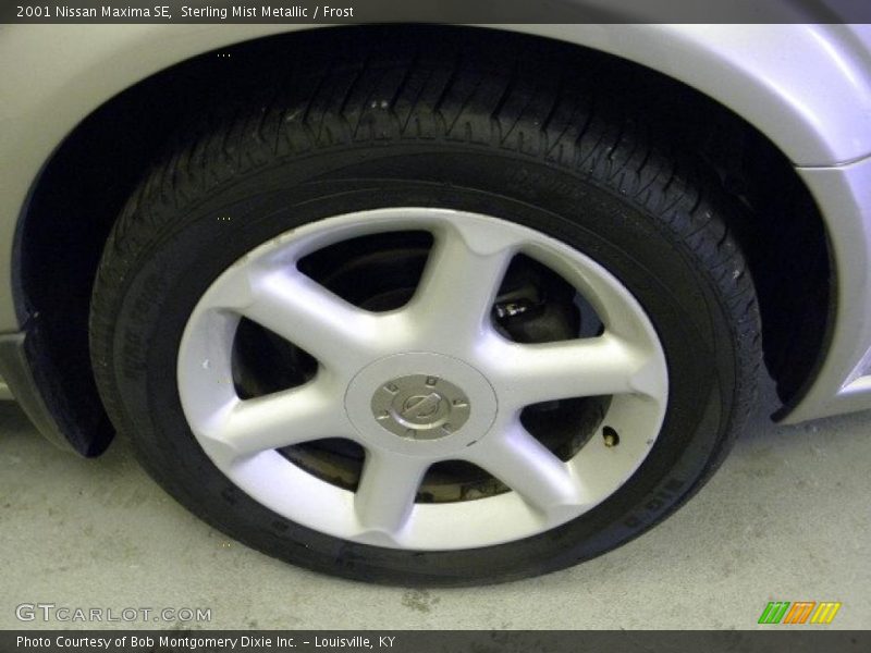 Sterling Mist Metallic / Frost 2001 Nissan Maxima SE