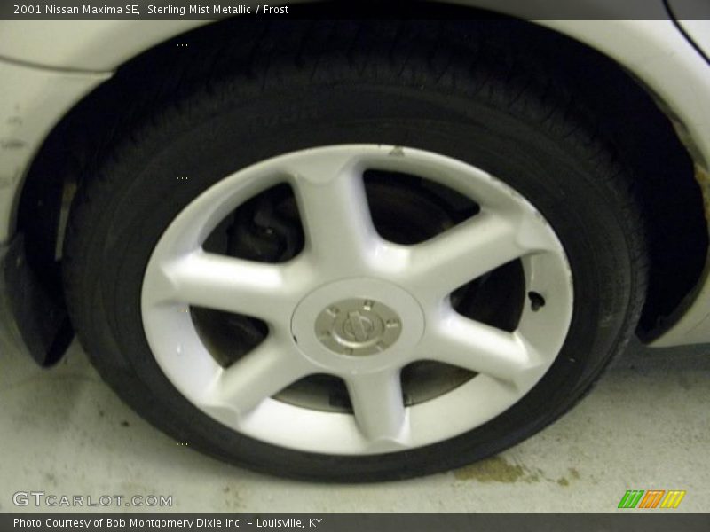 Sterling Mist Metallic / Frost 2001 Nissan Maxima SE