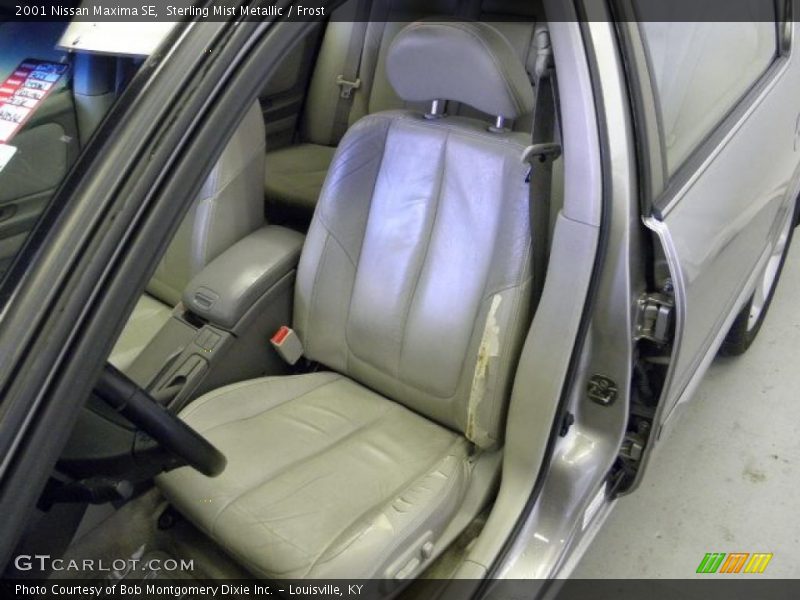 Sterling Mist Metallic / Frost 2001 Nissan Maxima SE