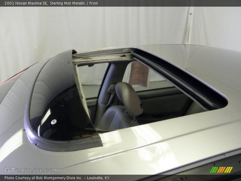 Sterling Mist Metallic / Frost 2001 Nissan Maxima SE