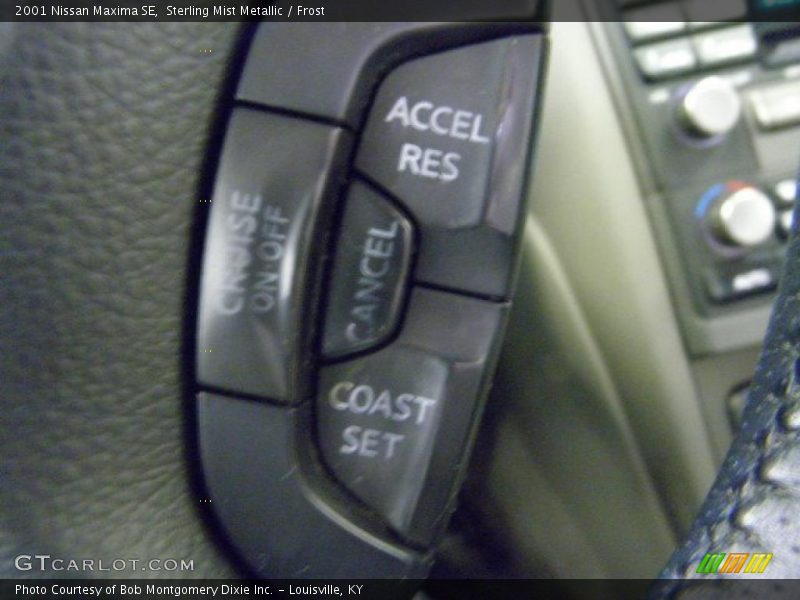 Sterling Mist Metallic / Frost 2001 Nissan Maxima SE