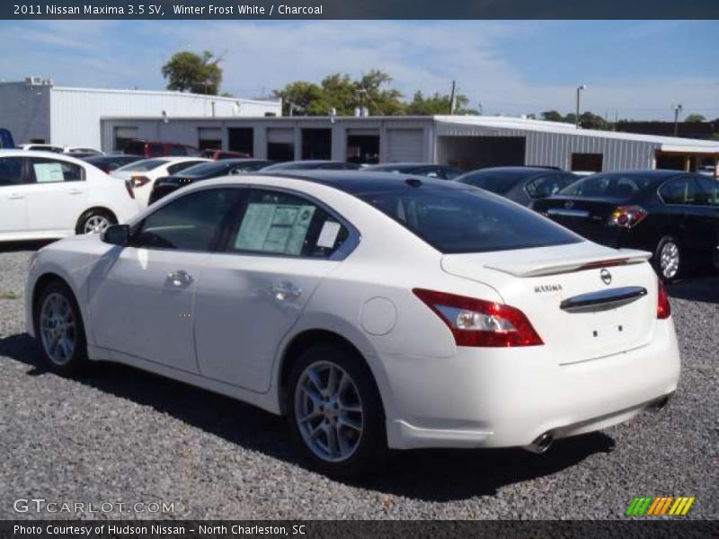 Winter Frost White / Charcoal 2011 Nissan Maxima 3.5 SV