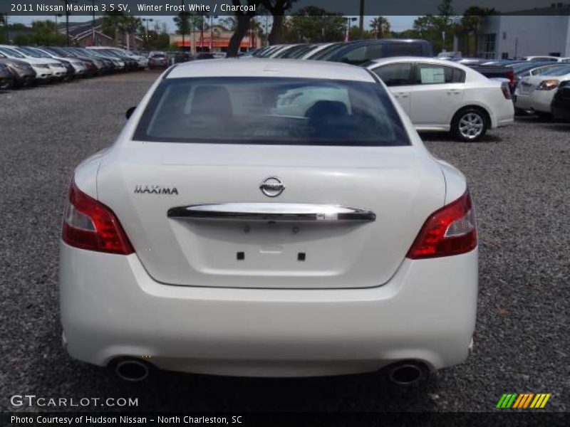 Winter Frost White / Charcoal 2011 Nissan Maxima 3.5 SV