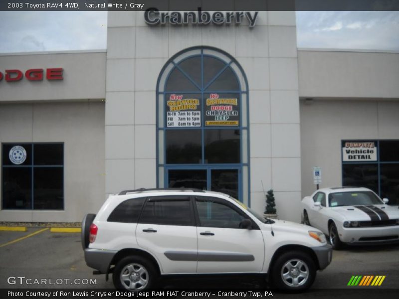 Natural White / Gray 2003 Toyota RAV4 4WD
