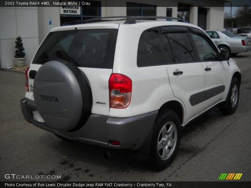 Natural White / Gray 2003 Toyota RAV4 4WD